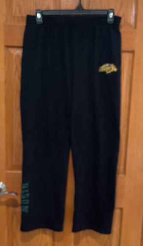 Stadium athletics ndsu bison - athletics,